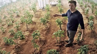 پژوهشگران در خاکی مشابه به خاک مریخ و ماه، گیاه پرورش دادند