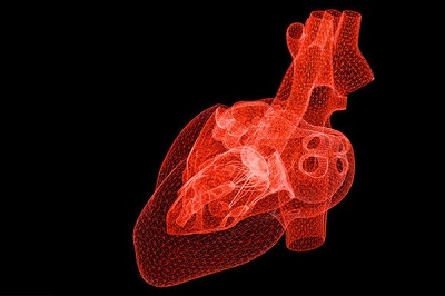 هوش مصنوعی بهتر از پزشکان می تواند حملات قلبی را پیش بینی کند