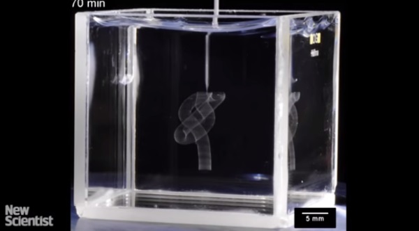 پرینت سه بعدی در ژل امکان چاپ اندام های انسانی پیچیده را ممکن می کند