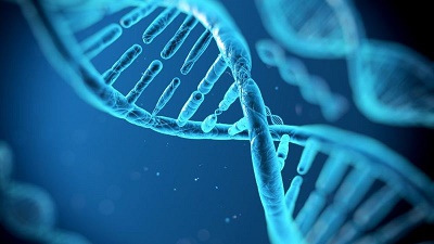 مایکروسافت ده میلیون رشته DNA برای آزمودن ذخیره سازی اطلاعات خریداری کرد